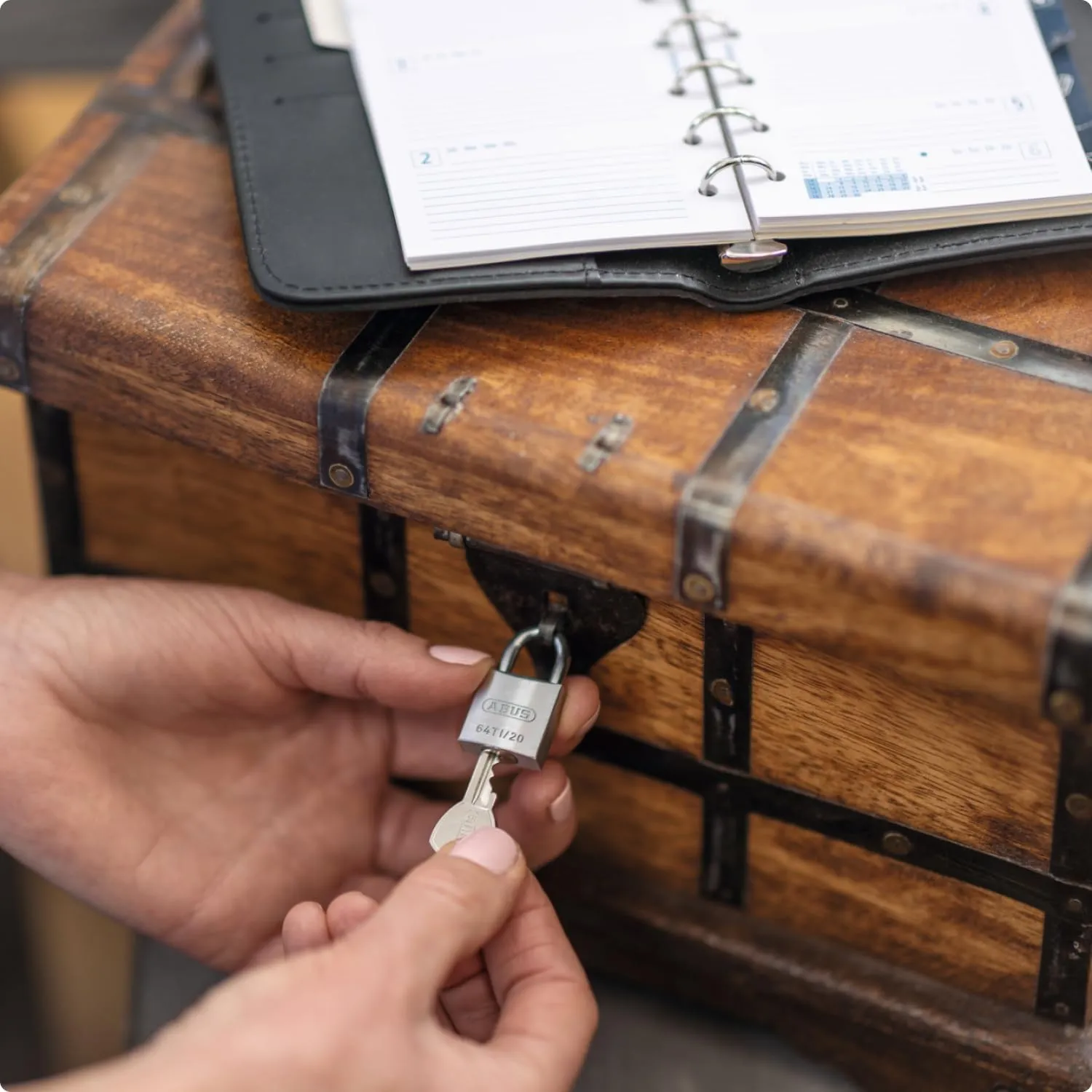 ABUS Mechanical 64Ti/20Mm Titalium Padlock