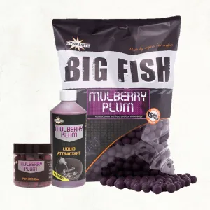 Dynamite Baits Mulberry & Plum 15mm Boilie 5kg