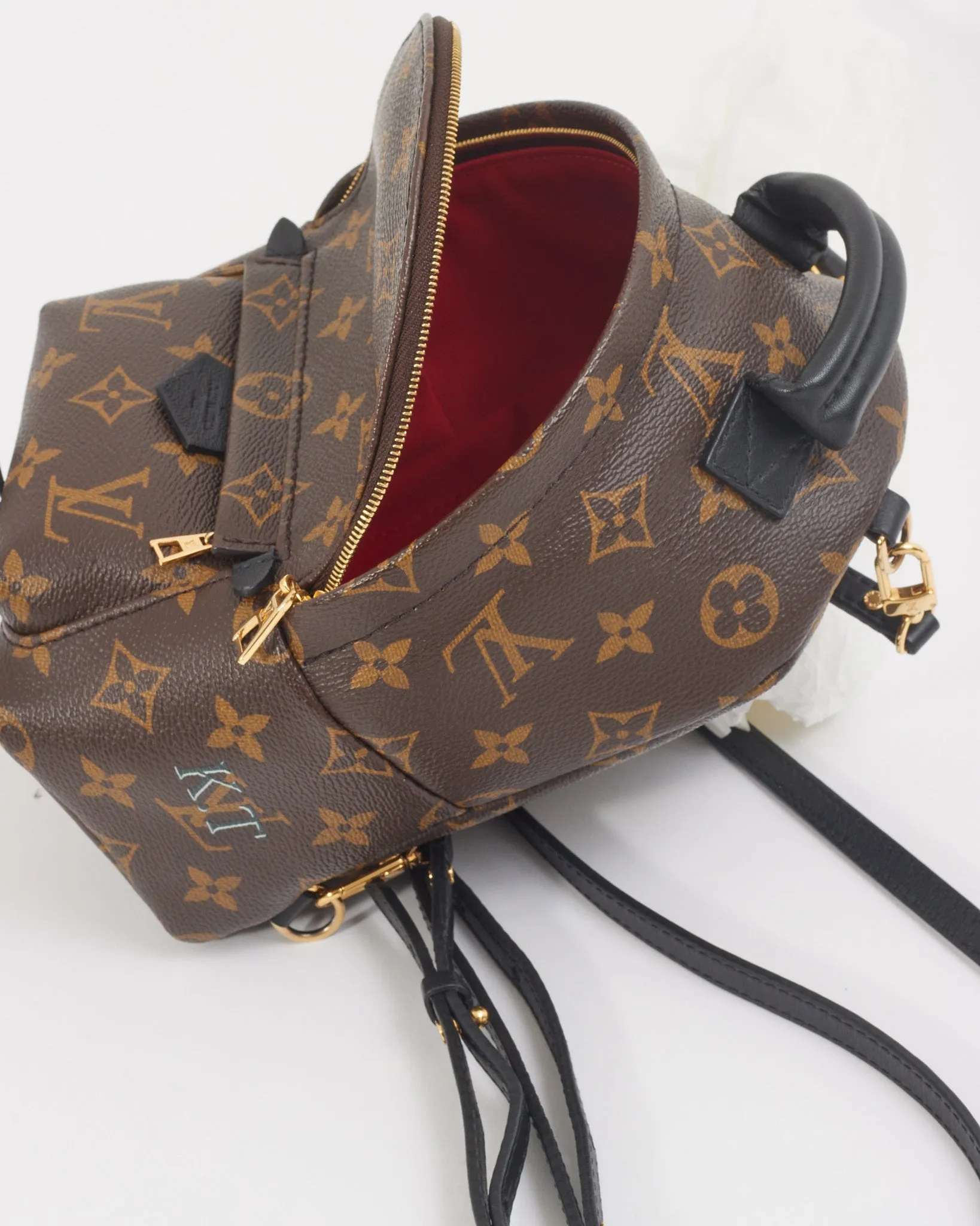 Louis Vuitton Monogram Coated Canvas Mini Palm Springs Backpack