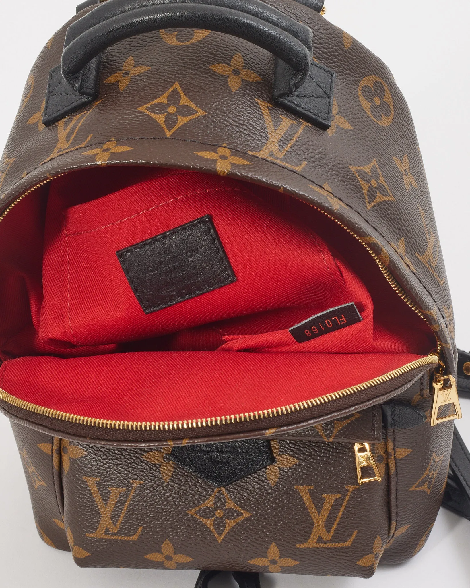 Louis Vuitton Monogram Coated Canvas Mini Palm Springs Backpack