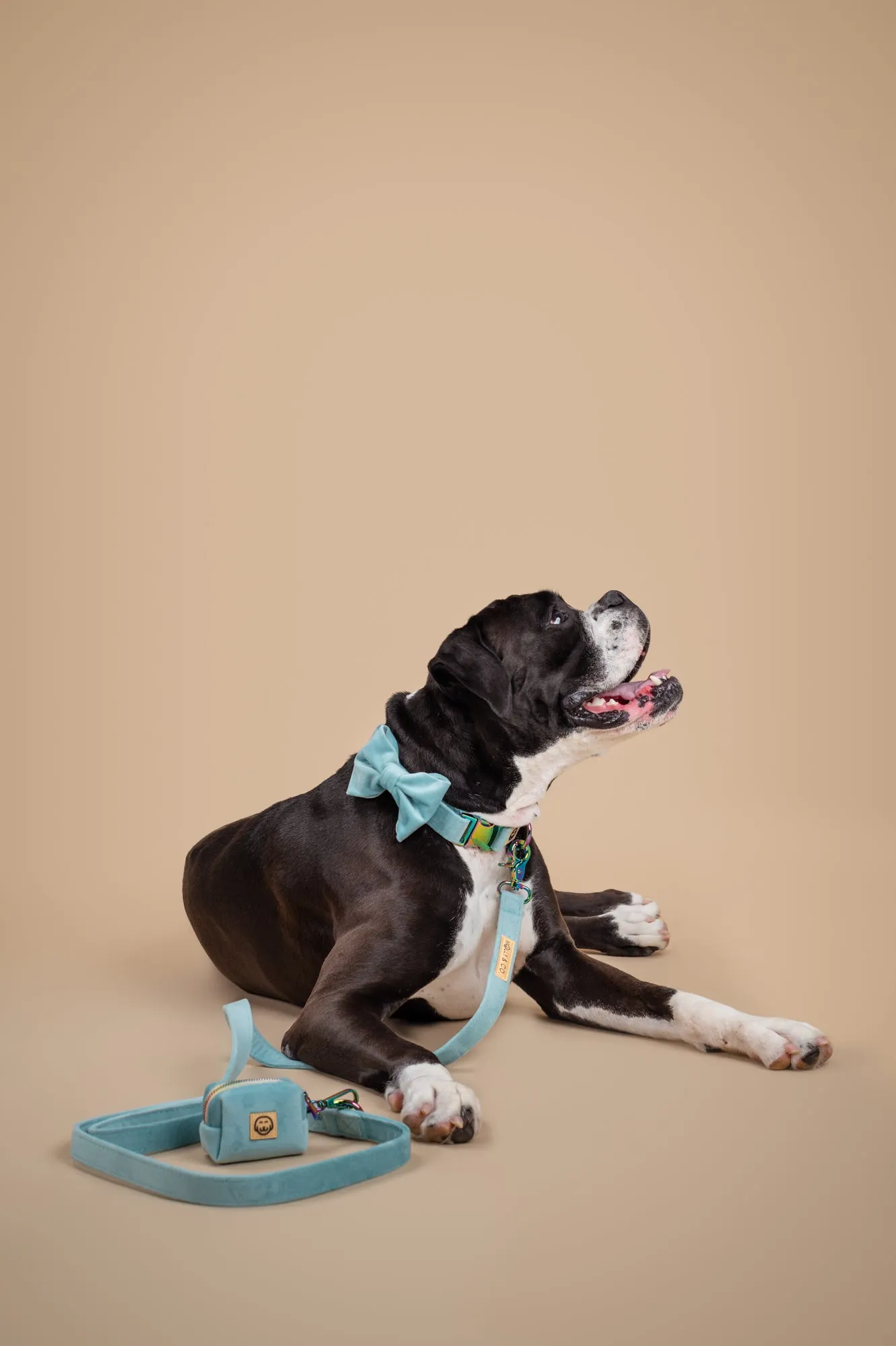 Molly Velvet - Dog Poop Bag Holder