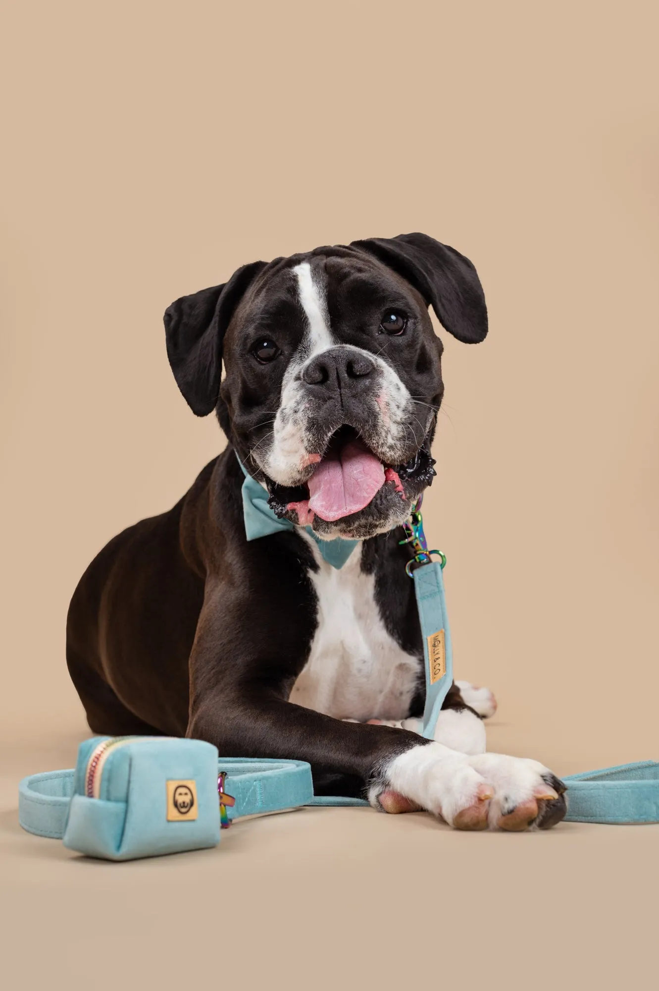 Molly Velvet - Dog Poop Bag Holder